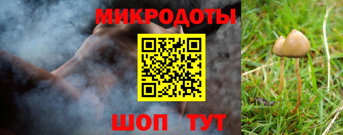 Галлюциногенные грибы Psilocybe  Вход с VPN  Рославль 